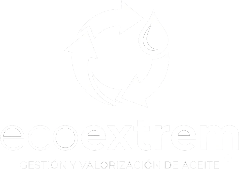 logo de website